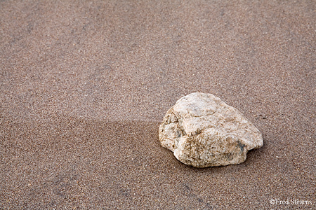 Great Sand Dunes National Park Stone in the Sand